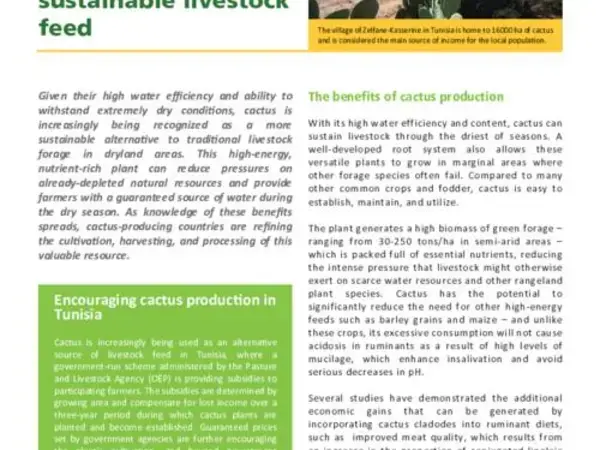 Cactusnet: Promoting the social and ecological benefits of cactus production: Promoting Cactus as an alternative and sustainable livestock feed
