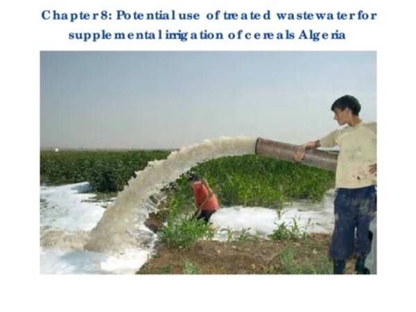 Potential use of treated wastewater for supplemental irrigation of cereals Algeria