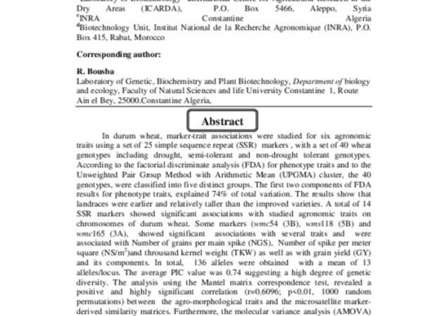 Association Analysis of Genotypic and Phenotypic Traits Using SSR Marker in Durum Wheat