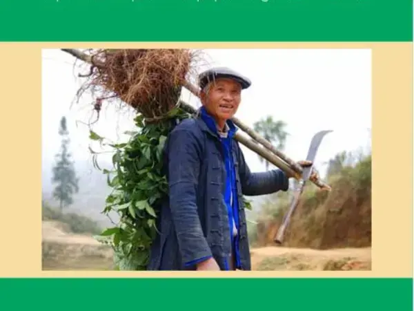 Ties that Bind: China and ICARDA. A productive partnership spanning three decades