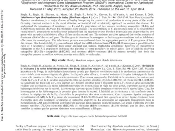 Inheritance of spot blotch resistance in barley (Hordeum vulgare L.)
