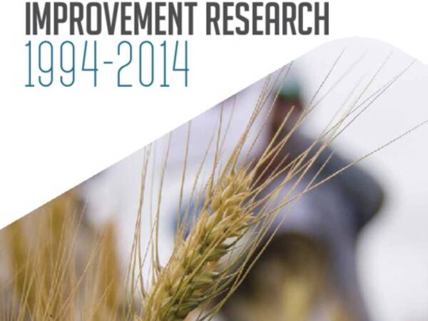 Impacts of International Wheat Improvement Research