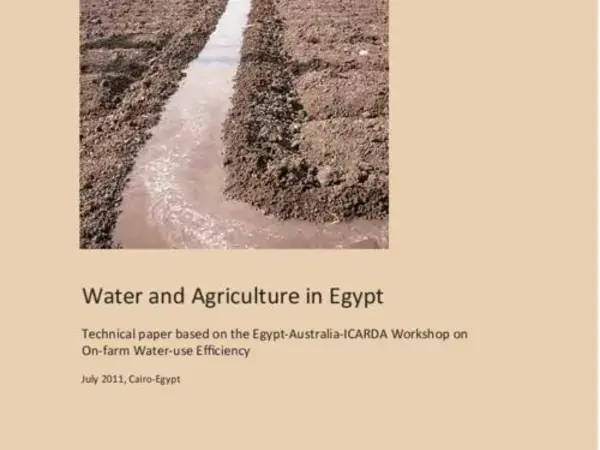 Water and Agriculture in Egypt