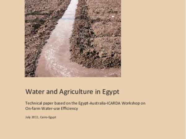 Water and Agriculture in Egypt