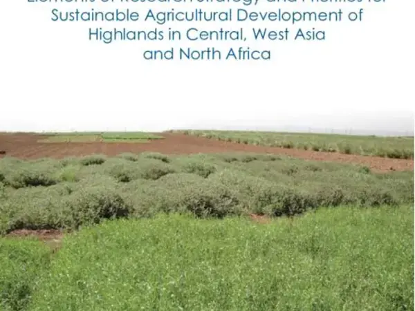 Elements of Research Strategy and Priorities for Sustainable Agricultural Development of Highlands in Central, West Asia and North Africa