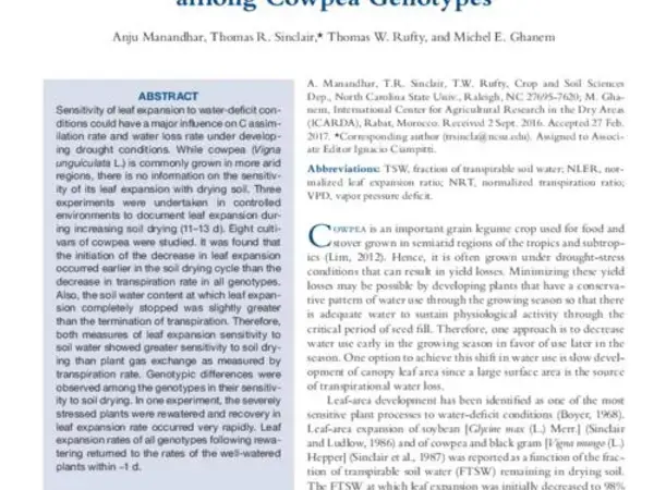 Leaf Expansion and Transpiration Response to Soil Drying and Recovery among Cowpea Genotypes