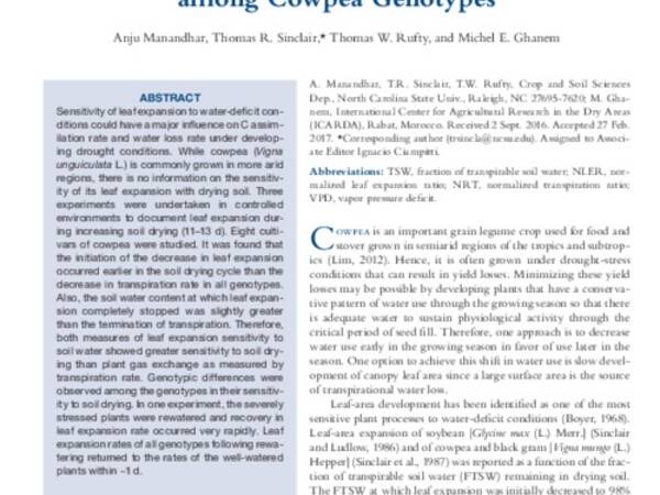 Leaf Expansion and Transpiration Response to Soil Drying and Recovery among Cowpea Genotypes