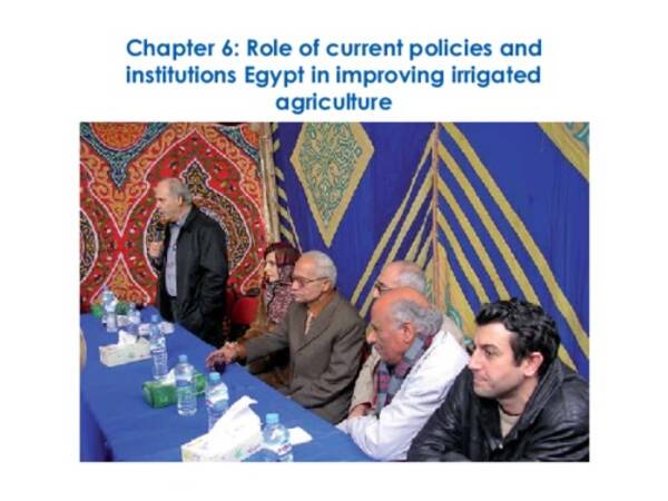 Role of current policies and institutions Egypt in improving irrigated agriculture