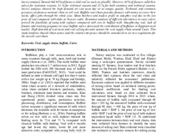 Characterization of Buffalo Veal Supply Chain in Villages around Cairo