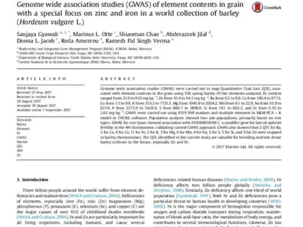 Genome wide association studies (GWAS) of element contents in grain with a special focus on zinc and iron in a world collection of barley (Hordeum vulgare L.)