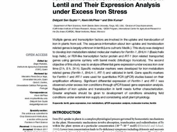 Development of Molecular Markers for Iron Metabolism Related Genes in Lentil and Their Expression Analysis under Excess Iron Stress