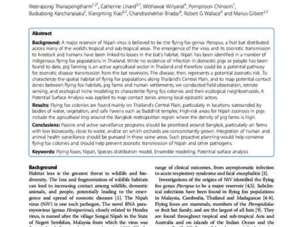 Spatial characterization of colonies of the flying fox bat, a carrier of Nipah Virus in Thailand