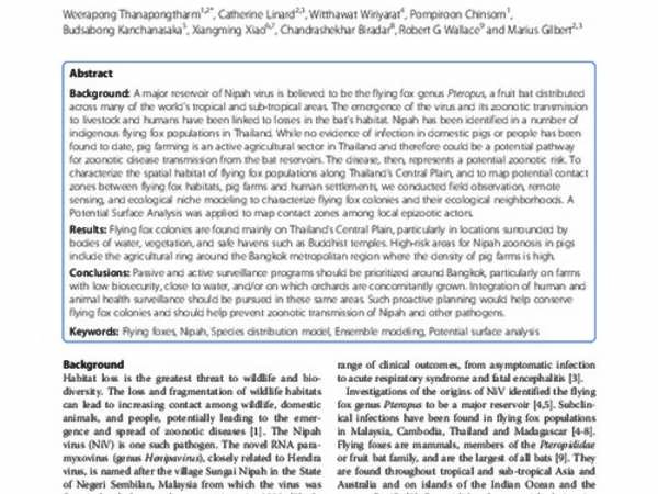 Spatial characterization of colonies of the flying fox bat, a carrier of Nipah Virus in Thailand