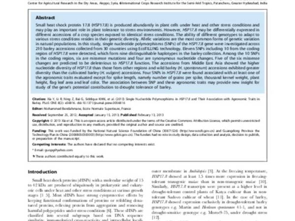 Single Nucleotide Polymorphisms in HSP17.8 and Their Association with Agronomic Traits in Barley