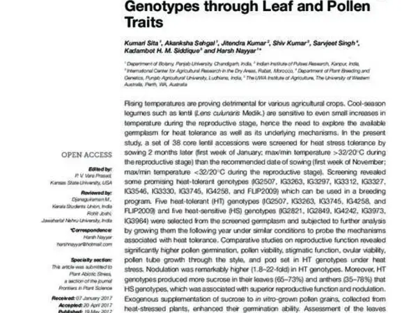 Identification of High-Temperature Tolerant Lentil (Lens culinaris Medik.) Genotypes through Leaf and Pollen Traits