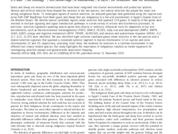 Multiple genomic signatures of selection in goats and sheep indigenous to a hot arid environment