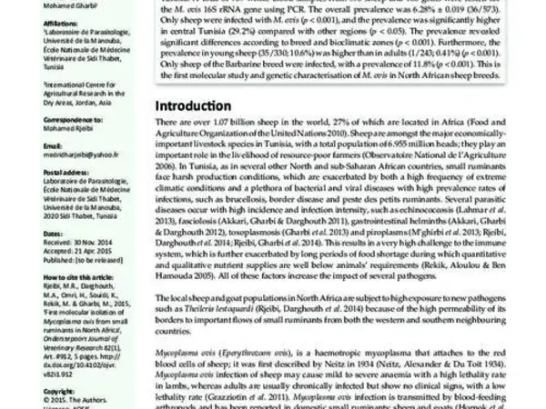 First molecular isolation of Mycoplasma ovis from small ruminants in North Africa