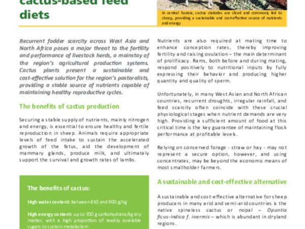 Cactusnet: Promoting the social and ecological benefits of cactus production: Enhancing sheep reproduction through cactus-based feed diets