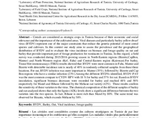 Importance du BYDV sur orge et avoine en Tunisie et évaluation de l'infection virale sur leur qualité fourragère