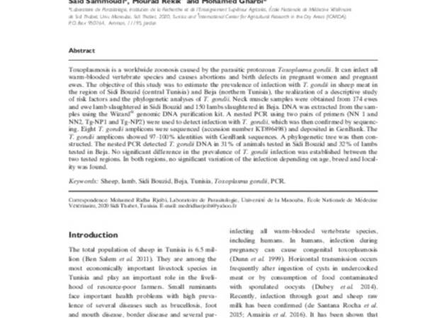 Molecular detection and phylogenetic analyses of Toxoplasma gondii from naturally infected sheep in Northern and Central Tunisia