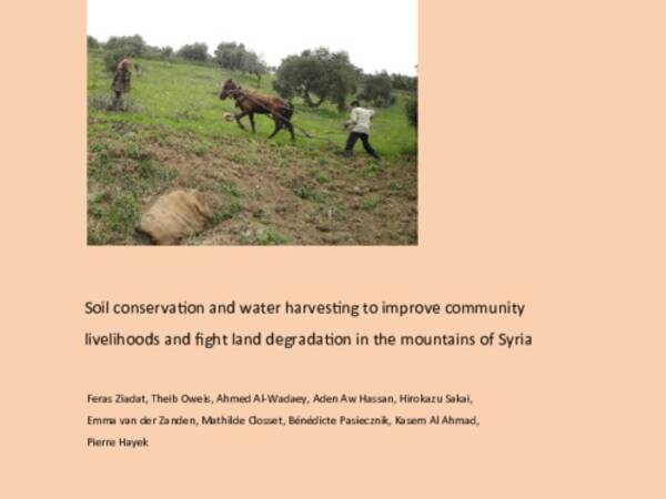 Soil conservation and water harvesting to improve community livelihoods and fight land degradation in the mountains of Syria