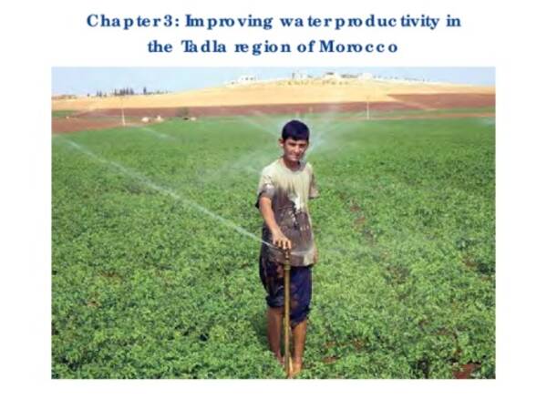 Improving water productivity in the Tadla region of Morocco