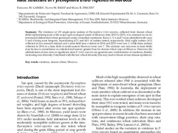 Race structure of Pyrenophora tritici-repentis in Morocco