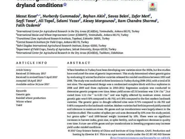 Genetic gains in wheat in Turkey: winter wheat for dryland conditions