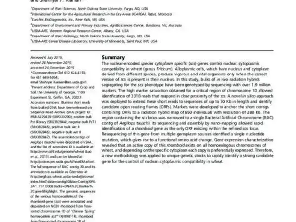 Fast-forward genetics by radiation hybrids to saturate the locus regulating nuclear–cytoplasmic compatibility in Triticum