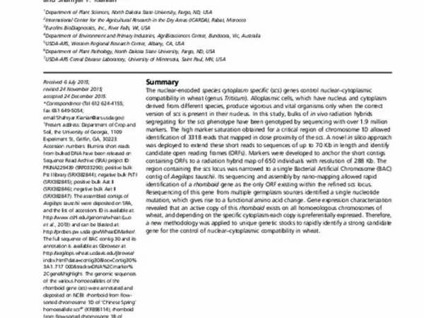 Fast-forward genetics by radiation hybrids to saturate the locus regulating nuclear–cytoplasmic compatibility in Triticum