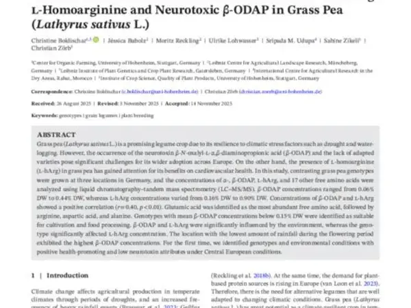Genetic and Environmental Variation in Health-Promotingl-Homoarginine and Neurotoxic β-ODAP in Grass Pea(Lathyrus sativus L.)