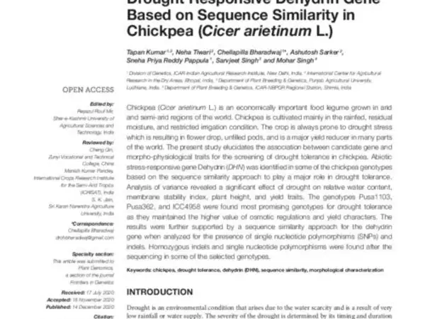 Identification and allelic variation of drought responsive dehydrin gene based on sequence similarity in chickpea (Cicer arietinum L.)