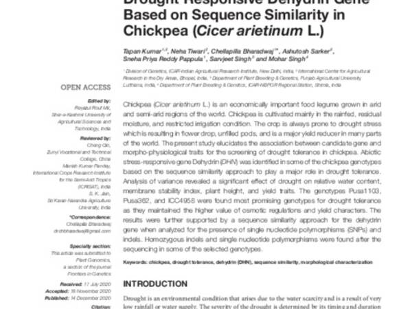 Identification and allelic variation of drought responsive dehydrin gene based on sequence similarity in chickpea (Cicer arietinum L.)