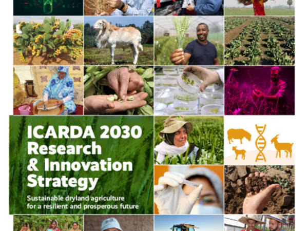 ICARDA 2030 Research & Innovation Strategy