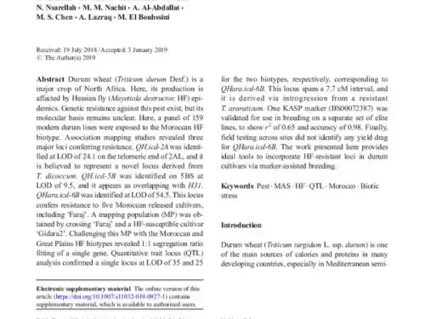 Genetic identification of loci for Hessian fly resistance in durum wheat