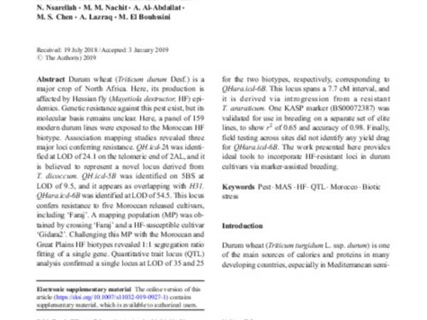 Genetic identification of loci for Hessian fly resistance in durum wheat