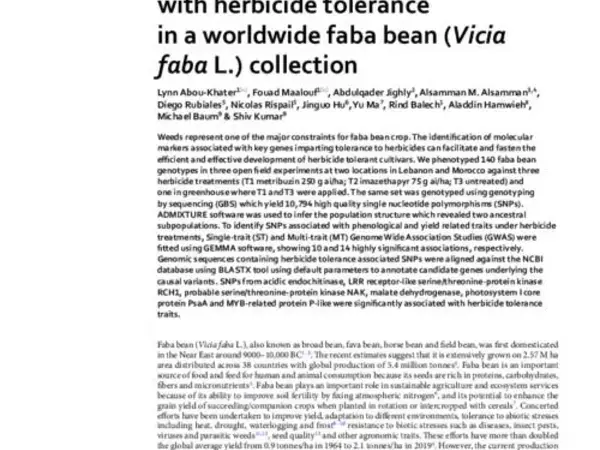 Genomic regions associated with herbicide tolerance in a worldwide faba bean (Vicia faba L.) collection