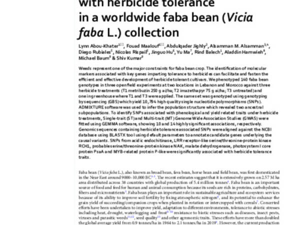 Genomic regions associated with herbicide tolerance in a worldwide faba bean (Vicia faba L.) collection