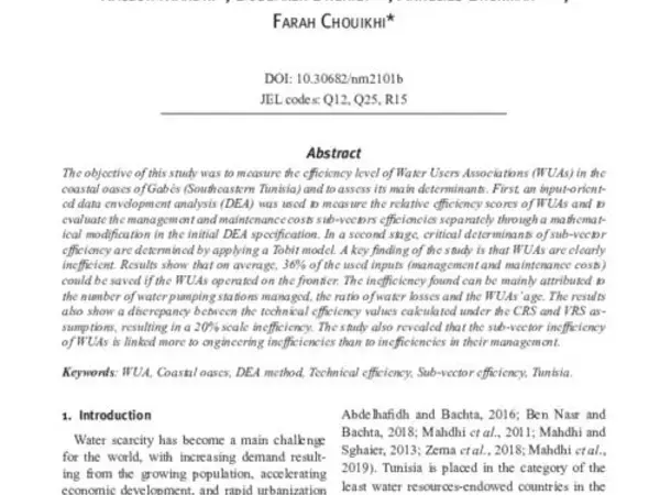 Water Users Associations and irrigation water use efficiency in costal oases areas in Gabès, Southeastern Tunisia