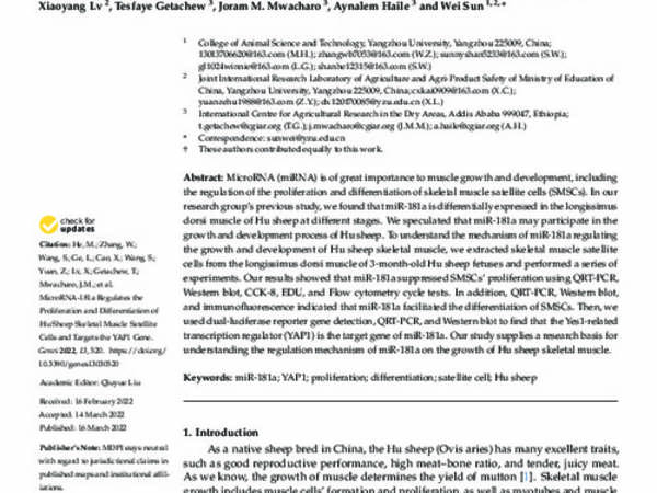 MicroRNA-181a Regulates the Proliferation and Differentiation of Hu Sheep Skeletal Muscle Satellite Cells and Targets the YAP1 Gene