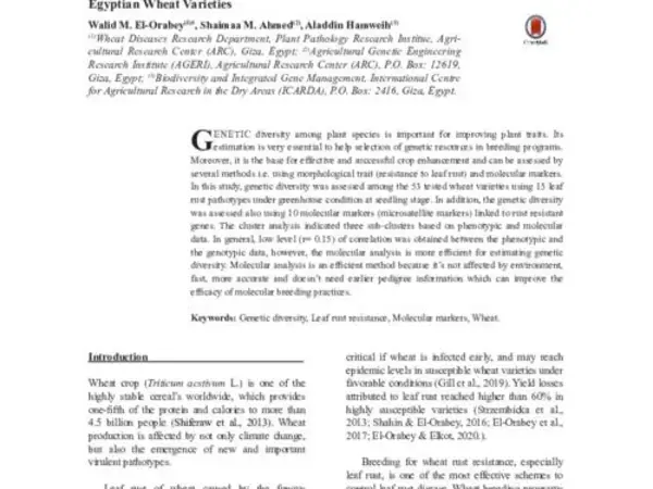 Phenotypic and Molecular Assessment for Genetic Diversity of Egyptian Wheat Varieties