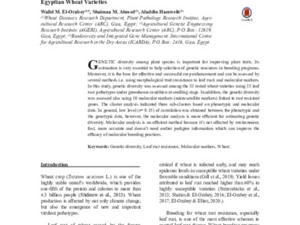 Phenotypic and Molecular Assessment for Genetic Diversity of Egyptian Wheat Varieties