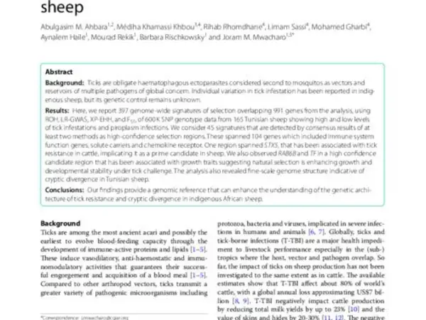 Genome variation in tick infestation and cryptic divergence in Tunisian indigenous sheep