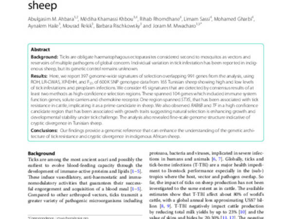 Genome variation in tick infestation and cryptic divergence in Tunisian indigenous sheep