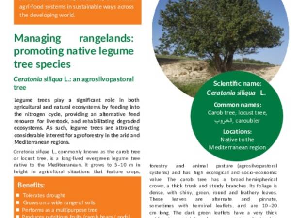 Managing rangelands: promoting native legume tree species, Ceratonia siliqua L.: an agrosilvopastoral tree