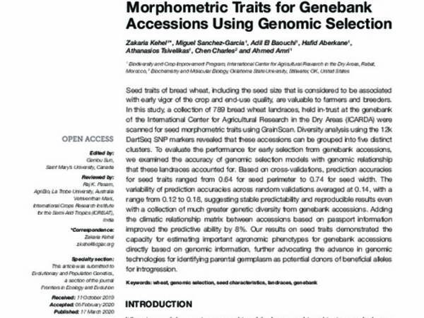 Predictive Characterization for Seed Morphometric Traits for Genebank Accessions Using Genomic Selection