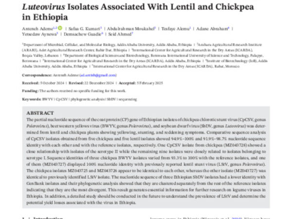 Detection and Partial Characterization of Polerovirus and Luteovirus Isolates Associated With Lentil and Chickpea in Ethiopia