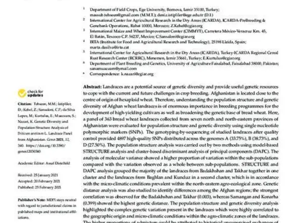 Genetic Diversity and Population Structure Analysis of Triticum aestivum L. Landrace Panel from Afghanistan