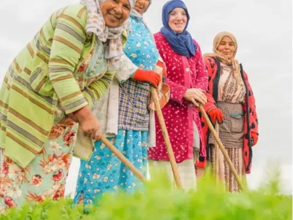 CGIAR 2030 Global Strategy for Resilient Drylands