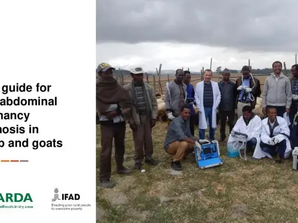 Field guide for transabdominal pregnancy diagnosis in sheep and goats